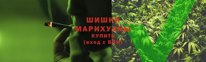 Бошки Шишки SATIVA & INDICA  как найти закладки  Кирс 